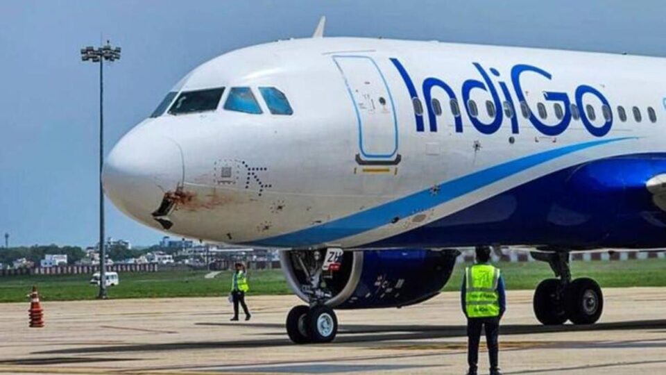 IndiGo